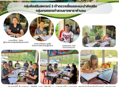 กลุ่มส่งเสริมสหกรณ์ 3 ... พารามิเตอร์รูปภาพ 9